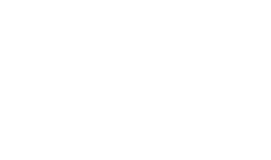 Winglet_Logo